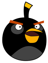 black angry bird